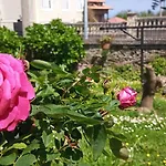 Vitorio Hotel 2*