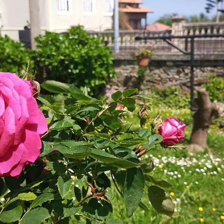 Vitorio Hotel 2*