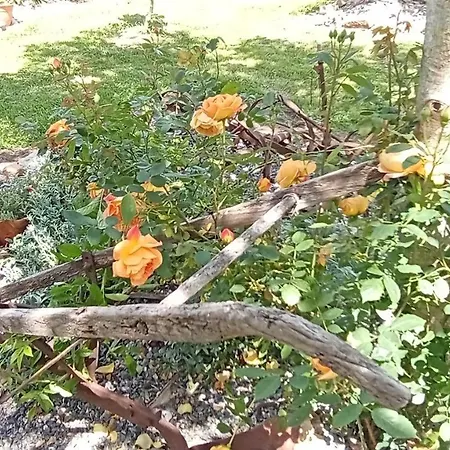 Ξενοδοχείο Vitorio